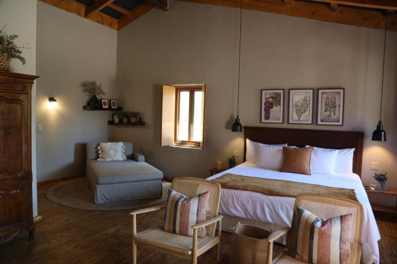 Almaliebre Viñedos del Valle Valle de Guadalupe Exterior foto
