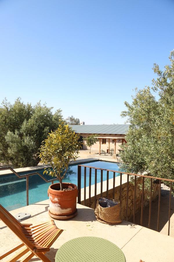 Almaliebre Viñedos del Valle Valle de Guadalupe Exterior foto