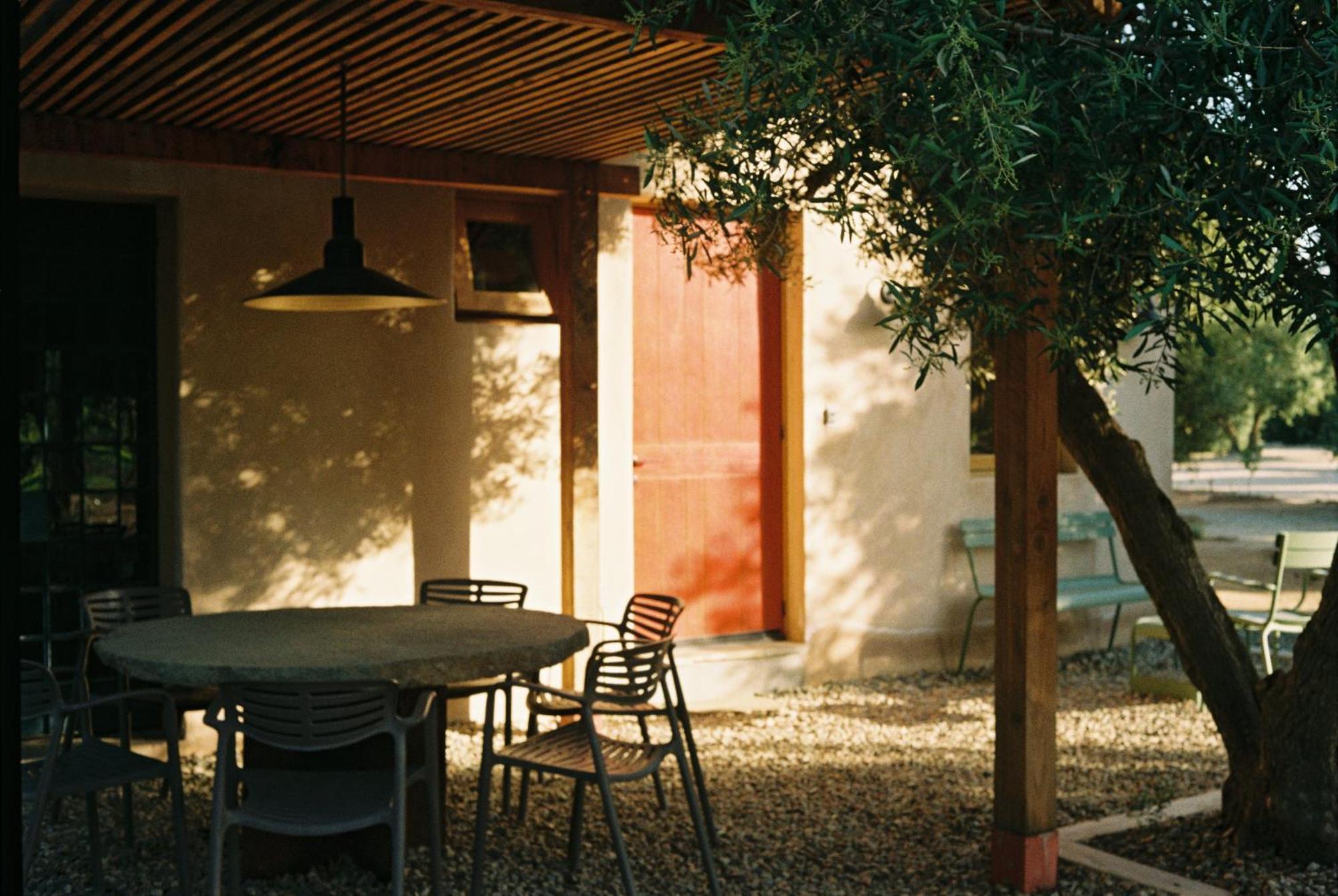 Almaliebre Viñedos del Valle Valle de Guadalupe Exterior foto
