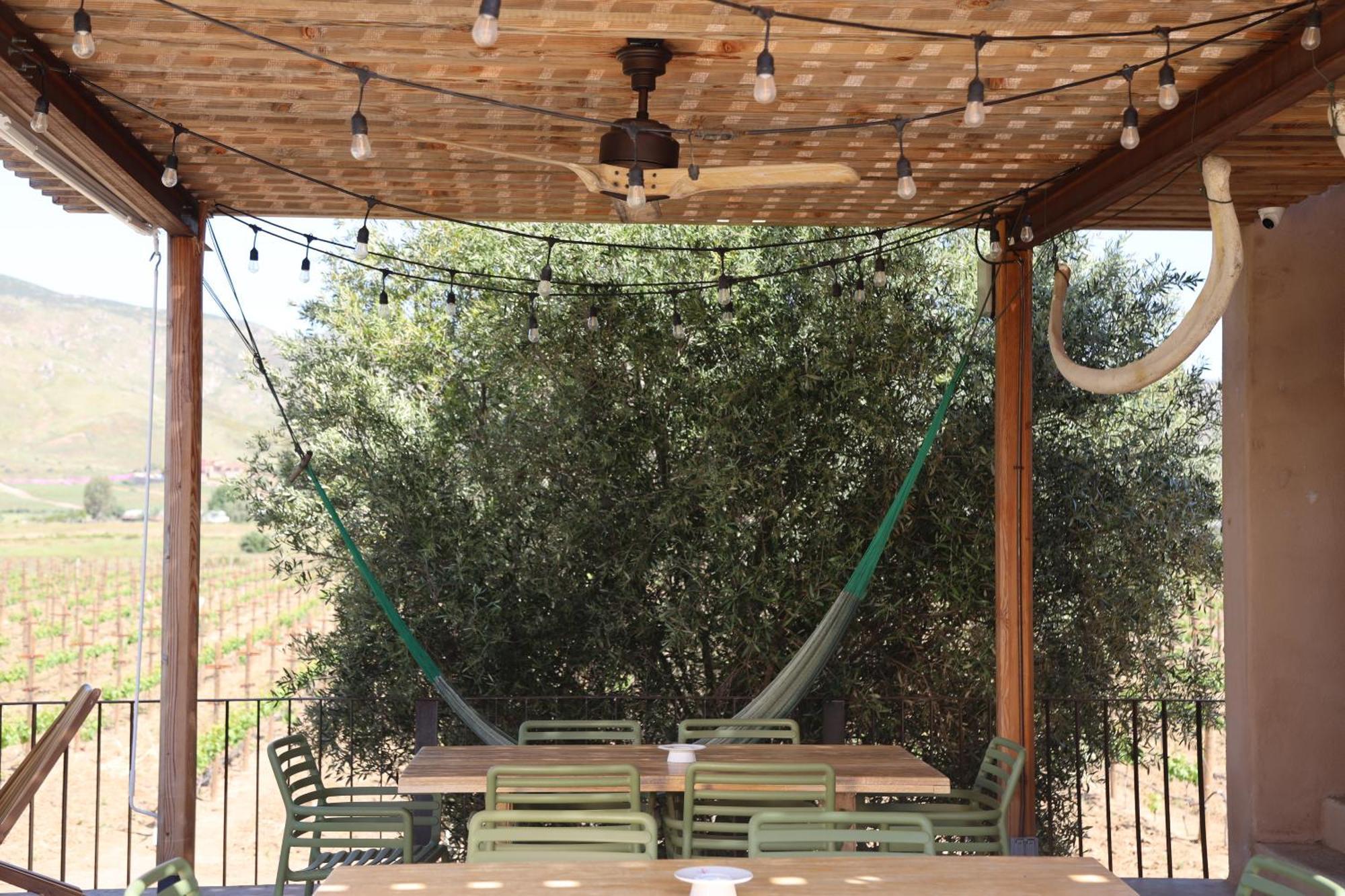 Almaliebre Viñedos del Valle Valle de Guadalupe Exterior foto