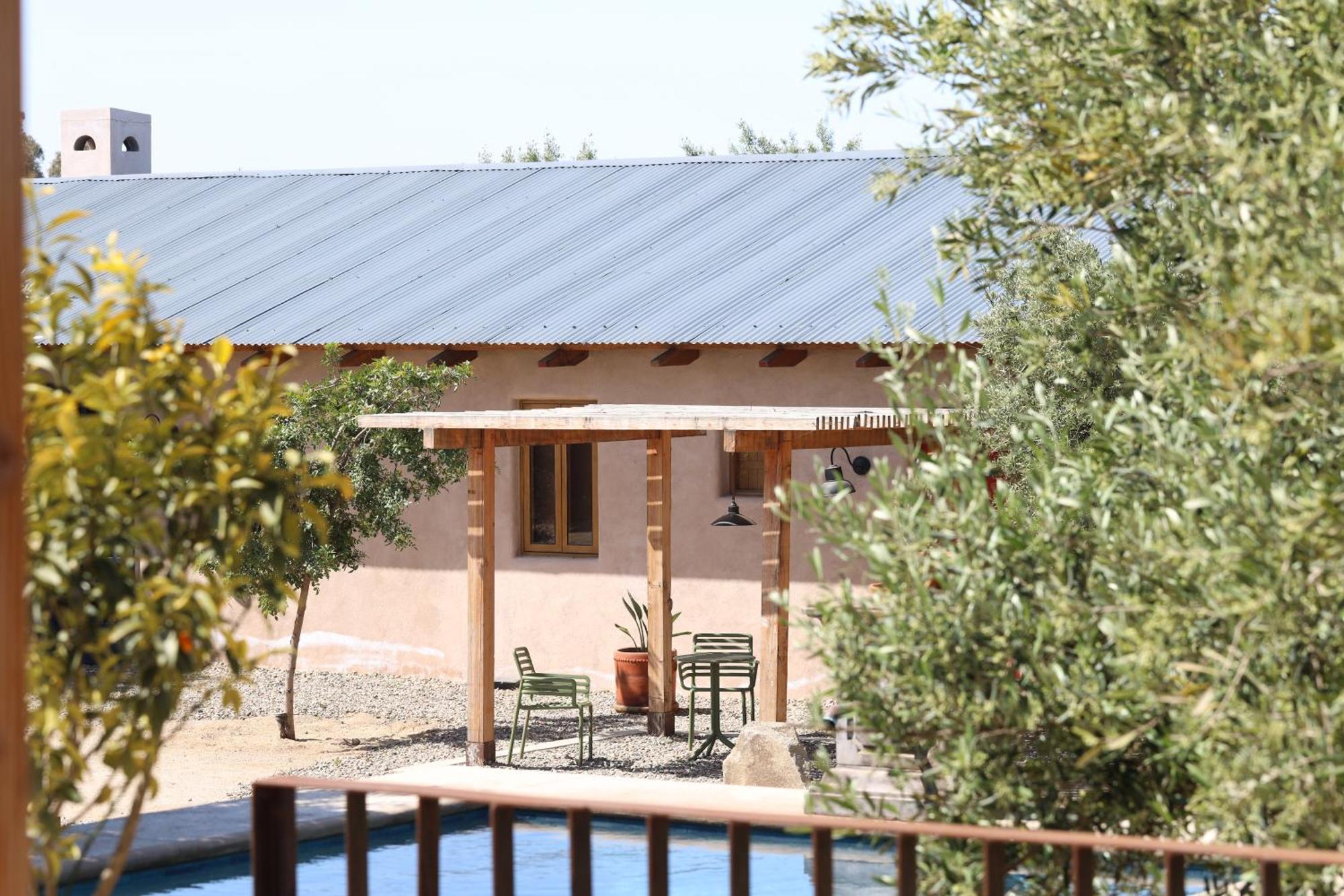 Almaliebre Viñedos del Valle Valle de Guadalupe Exterior foto
