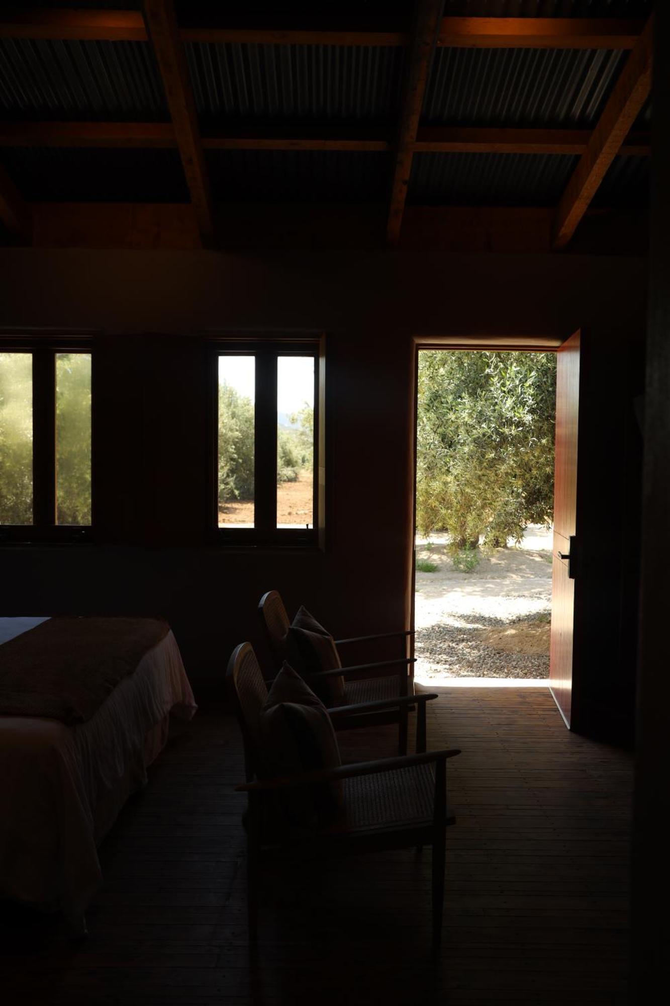 Almaliebre Viñedos del Valle Valle de Guadalupe Exterior foto